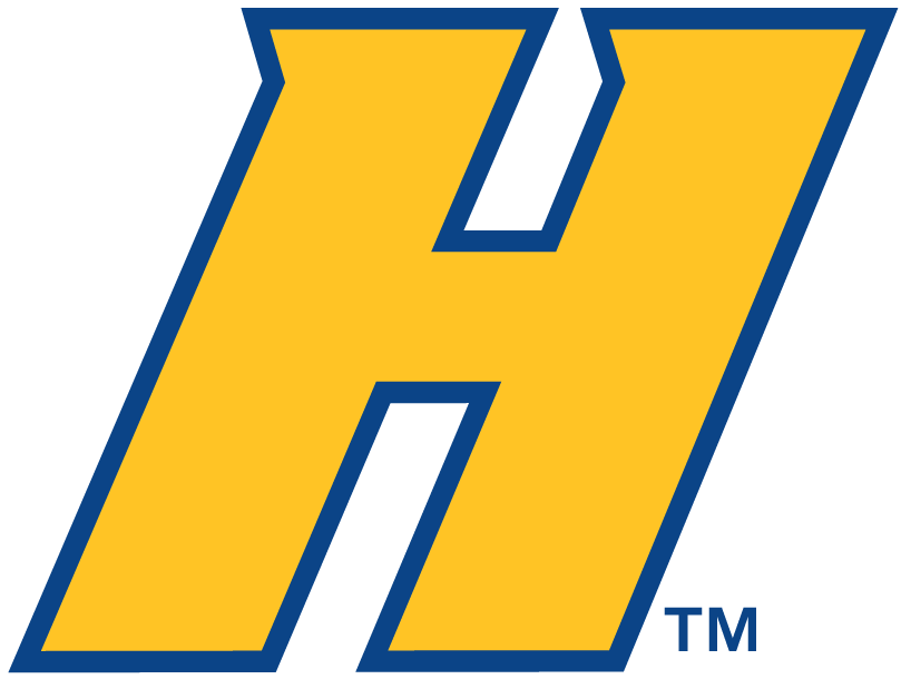 Hofstra Pride 2005-Pres Alternate Logo v2 diy iron on heat transfer
